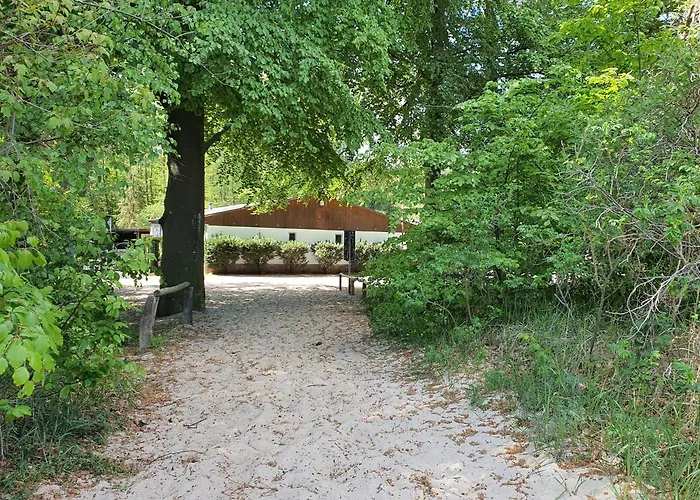 公寓 Duenenhaus Fewos - Zum 50m *